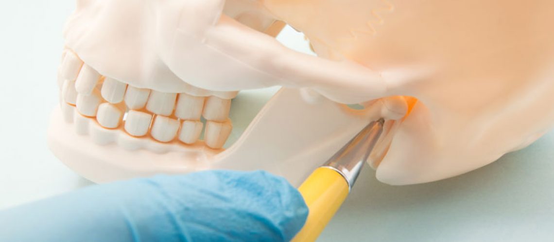 TMJ Jaw Bone Joint